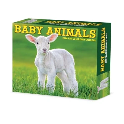 Image of Baby Animals Desk Calendar 2026