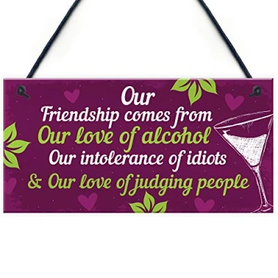Image of RED OCEAN Funny Friendship Gifts For Women Birthday Hanging Plaque Alcohol Sign Keepsake