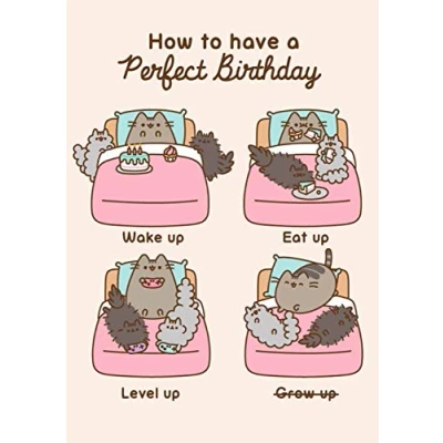 Image of Pusheen The Cat How to have a Perfect Birthday Blank Card PUSH57
