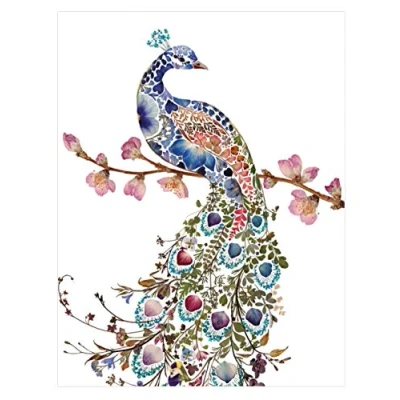 Image of Wildflower Peacock Greetings Card with White Envelope Museums and Galleries
