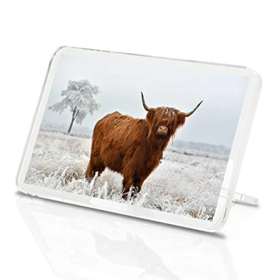 Image of Highland Cow Classic Fridge Magnet Cattle Snow Scotland Animals Gift #15508