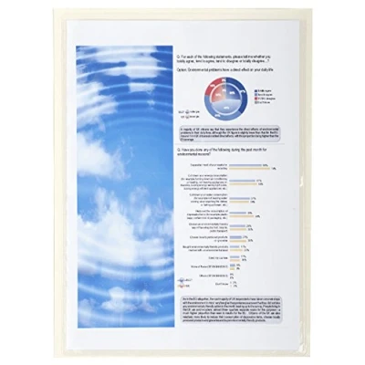Image of Exacompta Ref 56310E PVC Adhesive Display Pockets Suitable for A4 Documents, Storing Documents on Walls, Top Opening Clear (Pack of 10)