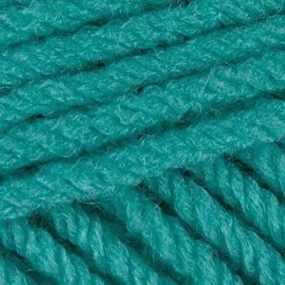 Image of Stylecraft Special Chunky Knitting Wool/Yarn 100g 1422 Aspen