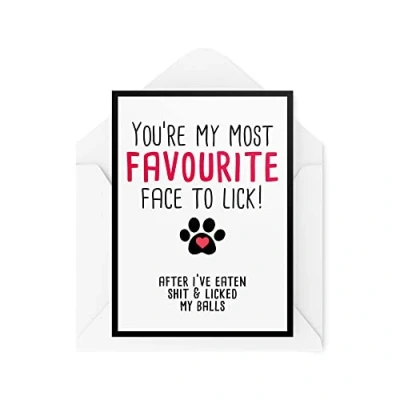 Image of Funny Happy Birthday Cards from The Dog Pet Lover Greeting On His Favourite Face to Lick After My Balls Boy CBH396