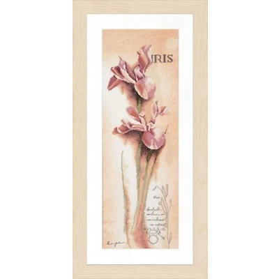 Image of Lanarte PN 0008049 Iris Botanical, Pack of 1, Beige