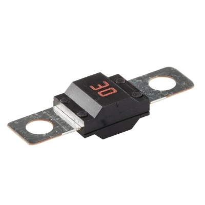 Image of 900002478 Fuse HELLA 8JS 742 901 061 30A Orange