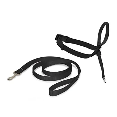 Image of PetSafe Easy Walk Head Collar