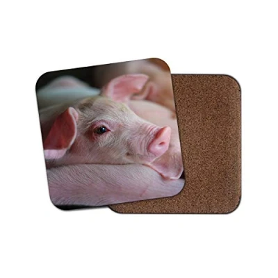Image of 1 x Adorable Pink Piglet Coaster Pig Pigs Farm Animal Fun Cute #8822