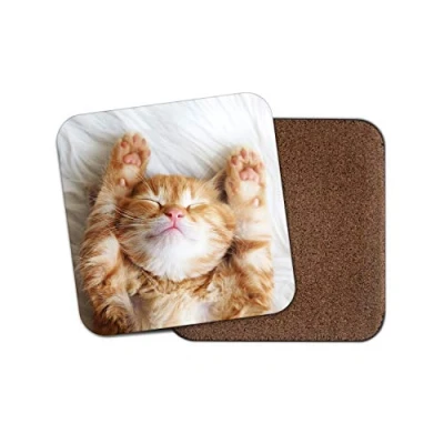 Image of 1 x Cute Kitten Coaster Ginger Cat Pet Funny Mum Sister Auntie Fun #13113