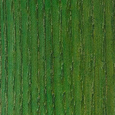 Image of WooDeeDoo Water Based Wood Stain Dye Ready to Use Environmentally Friendly Solvent Free Odour 1 L Green