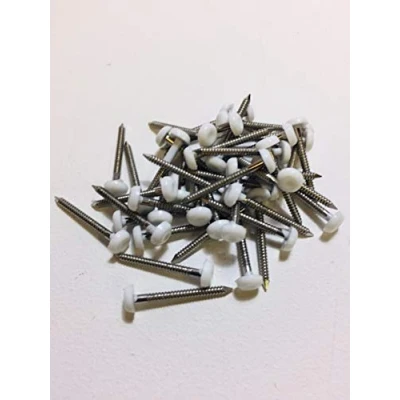 Image of HARDWARE FOR YOU LTD 1 X Pack 25 Polymer Headed Nail Pin White 25mm Stainless Steel Fixings