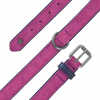 Image of Sotnos Aquatech Brights Dog Collar (26cm x 1.5cm) (Raspberry)