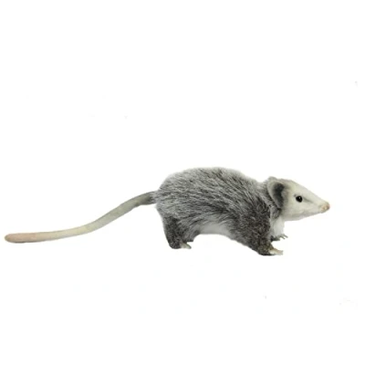 Image of Hansa 8042 Opposum 23cm.L