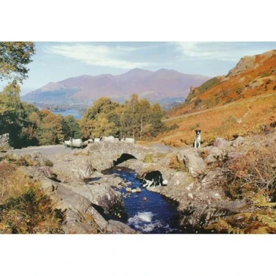 Image of The House of Puzzles 1000 Piece Jigsaw Puzzle Thirsty Work Cromarty Collection