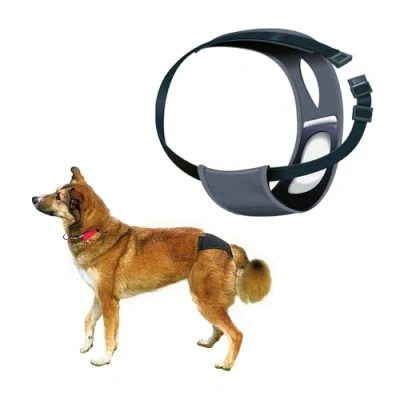 Image of Trixie Protective Dog Pant, Medium, Black