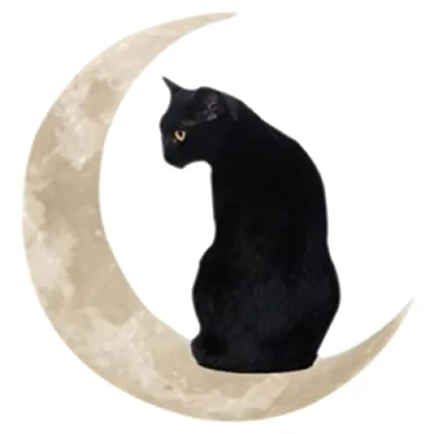 Image of Adifare Metal Wall Decor Black Cat and Moon, Hanging Modern Art Decorations for Indoor Outdoor Living Room Bedroom Kitchen Hallway Stairs,30 x 30cm(Cat)