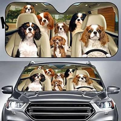 Image of Front Windshield Sun Shade Foldable Car Window Covers Block Uv Rays Windscreen Sunshades Universal For Truck Suv Cavalier King Charles Spaniel Team Friends Driving S