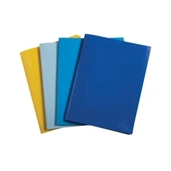 Image of Exacompta Bee Blue Display Book 30 Pocket PP A4 Assorted (Pack of 12)