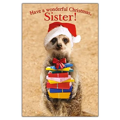 Image of Emotional Rescue Sister Christmas Card, Cute Cards, Card Sister, for Her, Cards,Multi,159x235mm