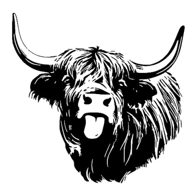 Image of Highland Cow Bull Head Vinyl Car Motorhome Caravan Van Sticker Decal HSHC3