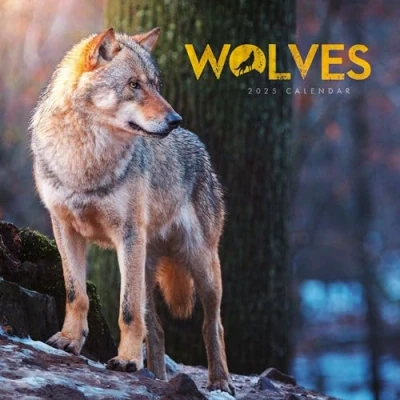 Image of 2025 Wolves Mini calendar: Plastic Free Packaging
