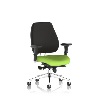 Image of Chiro Plus Bespoke Colour Seat Myrrh Green
