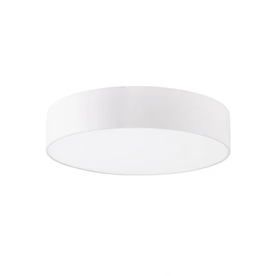 Image of Aris 30W Cylindrical Ceiling Light White 2700K