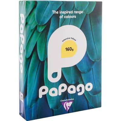 Image of Intense Yellow A4 Coloured Craft Card 160gsm x 50 Sheets by Clairefontaine