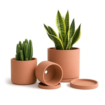 Image of D&#039;vine Dev Terracotta Pots for Plants, 4.2 Inch 5.3 6.5 Inch, Succulent Planter Pot with Drainage and Saucer, 40 A T 1