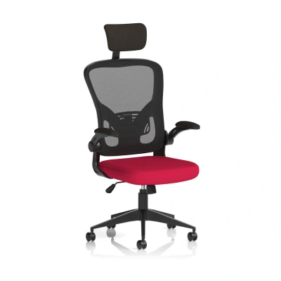 Image of Ace Executive Fabric Seat Bergamot Cherry Mesh Chair With Folding Arms