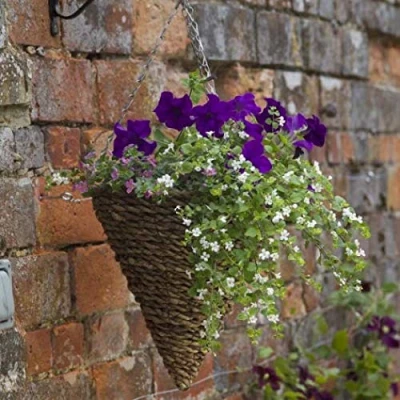 Image of Smart Garden 12inch Country Rattan Hanging Cone