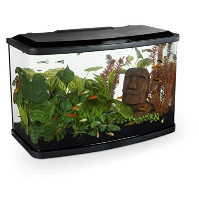 Image of Marina Vue 60 Aquarium