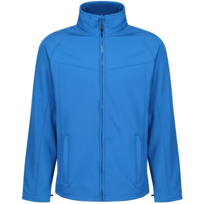 Image of Regatta Mens Dover Waterproof Insulated Jacket (Royal Blue) Size Medium