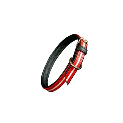 Image of Julius K9 IDC Lumino Phosphorescent Collar, 25 mm x 70 cm, Red