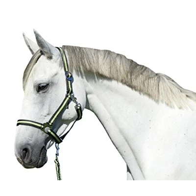Image of Kerbl Hippo Head Collar Anthracite/Lemon, Size 3