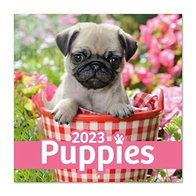 Image of Grupo Erik Dogs Simon K. &amp; Greg C. Wall Calendar 2023 12&#039; x FSC 12 Month Planner Square Family Dog + 4 Bonus Months