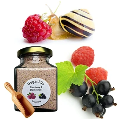 Image of Bugznbits Giant African Land Snail Food, 100% Organic Blend with Raspberry &amp; Blackcurrant, Also Great for Millipedes Hermit Crabs (210ml Refillable Jar)