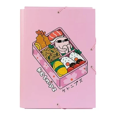 Image of Grupo Erik Ketnipz Premium A4 File Folder 13.4 x 10 inches 34 25.5 cm 3 Flap Document Organizer School Cool Gifts