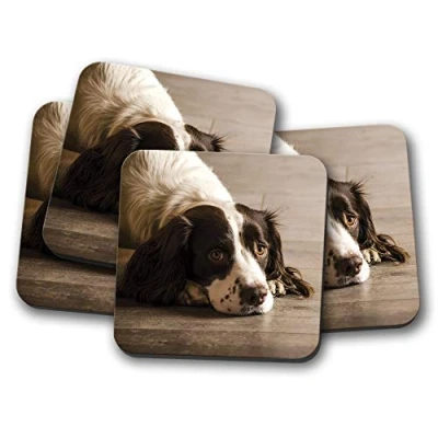 Image of 4 Set Springer Spaniel Coaster Puppy Cute Pretty Mum Farm Fun #8725