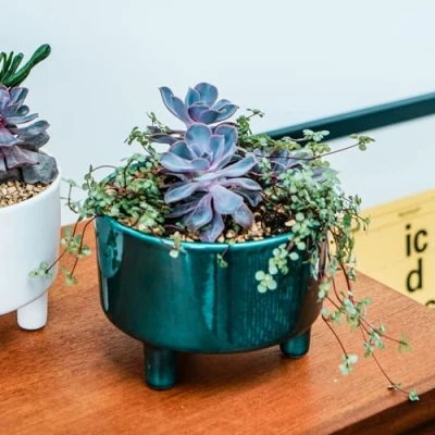 Image of Ivyline Pisa Premium Glaze Bowl Ceramic Planter on Legs Emerald Quality, UV Stable &amp; Waterproof Indoor Decorative Flower Pot H14cmxD19cm
