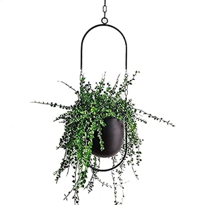 Image of Hanging Decoration Pot Metal Boho Basket Ceiling Planter for Indoor Plants Succulents Air Cactus (Black)