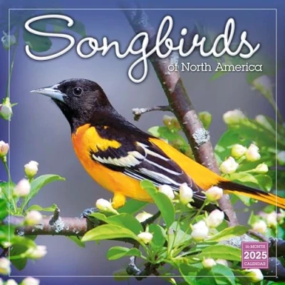Image of Songbirds of North America 2025 Wall Calendar, 16 Month Nature 12&quot; x