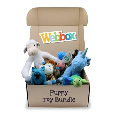 Image of Webbox Small Dog &amp; Puppy Toy Bundle Box (9 Pack) Teething, Chew, Rope, Plush Squeaky Toys for Dogs Puppies from 8 Weeks (Blue)