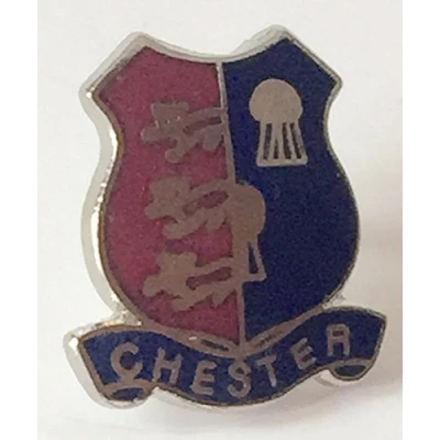 Image of Emblems Gifts Chester England Small Quality enamel lapel pin badge T182