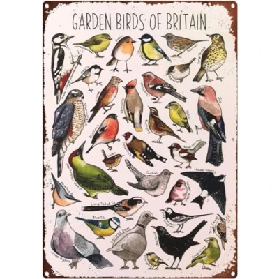Image of Metal Tin Signs Funny Garden Birds Stationery Letterbox Gift Vintage