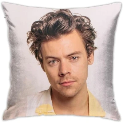Image of ZFENGYYUAN Harry Classic Style1 Home Throw Pillow Covers Bedroom Decorative Sofa Square Cushion Case 18x18 IN
