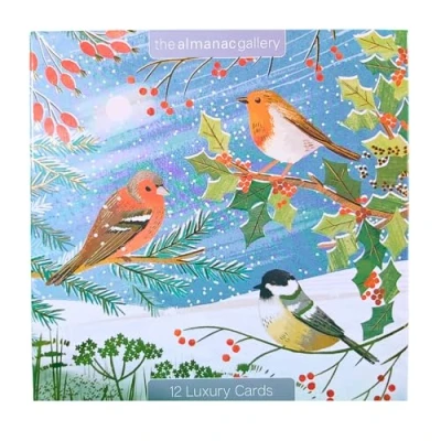 Image of Box of 12 Almanac British Garden Birds Christmas Cards in 3 Designs Boxed Xmas DELA0005