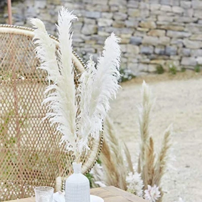 Image of Ginger Ray Bleached Pampas Grass Decorations 5 Pack