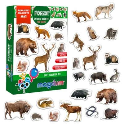 Image of fridge magnets for Kids MAGDUM Forest animals 20 Large toddlers magnet Toy whiteboards