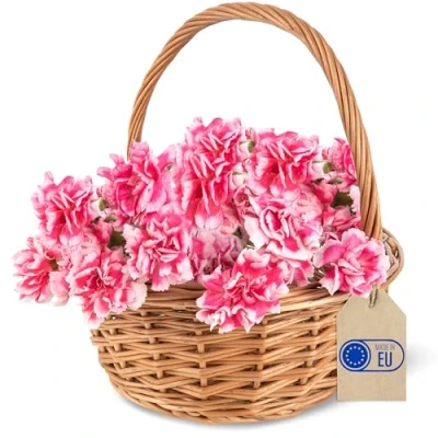Image of Creative Home Small Basket Wicker with Handle 22x22x26 cm (+/ 2 cm) Easter Egg Carry Hand Woven Gift Fruit Flower Kids Natural Brown Baskets
